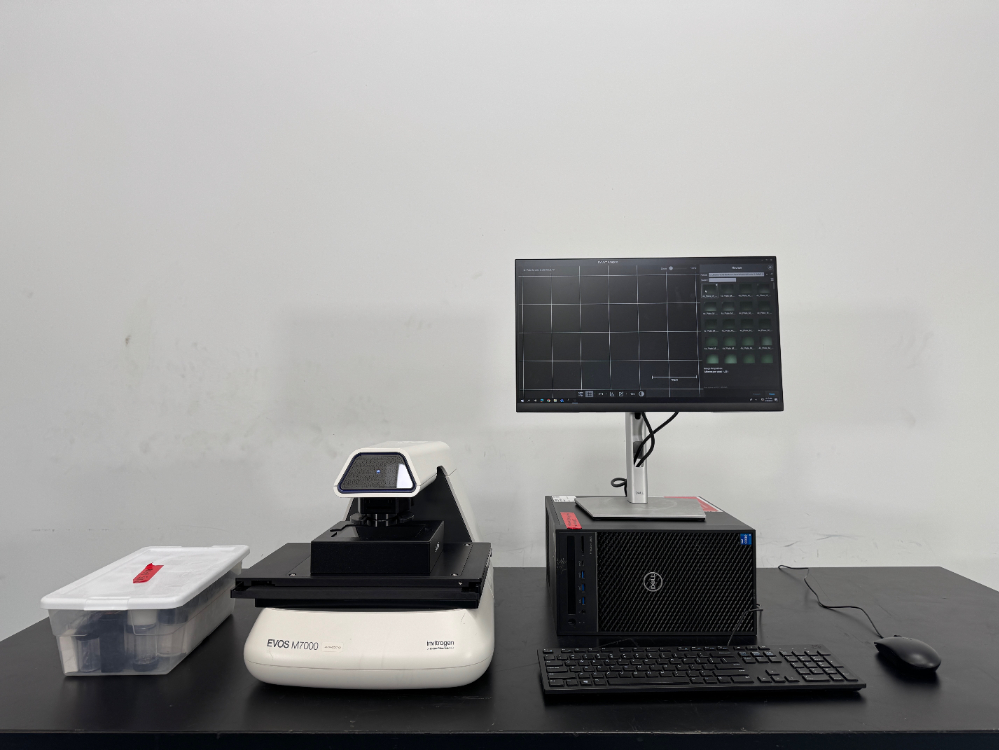 Image of Invitrogen EVOS M7000 Imaging System